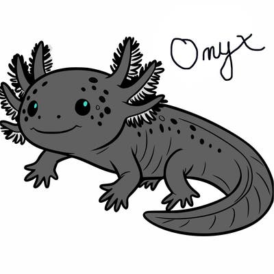 axolotl