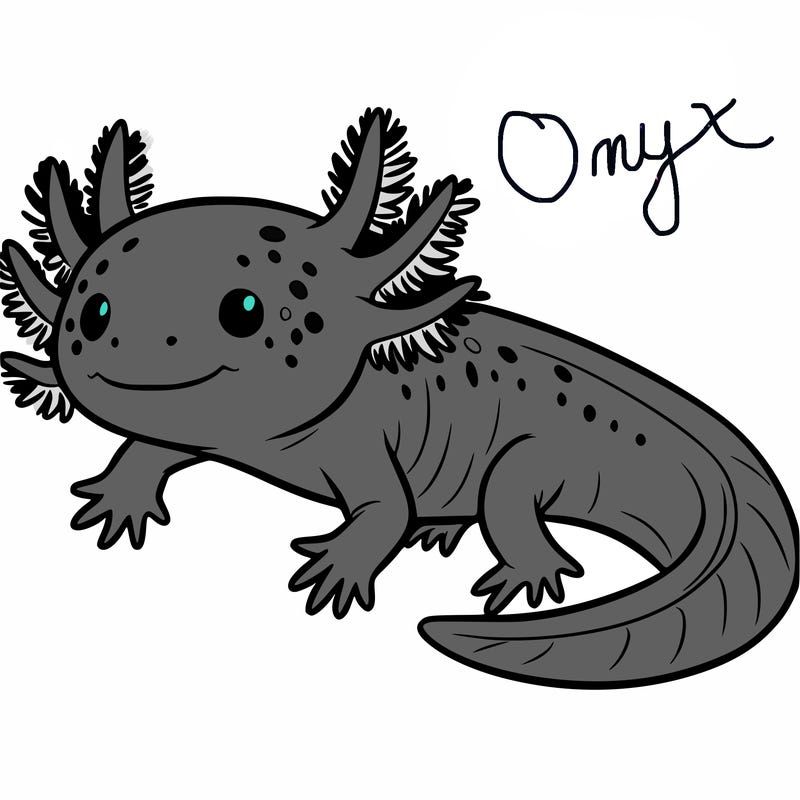 axolotl