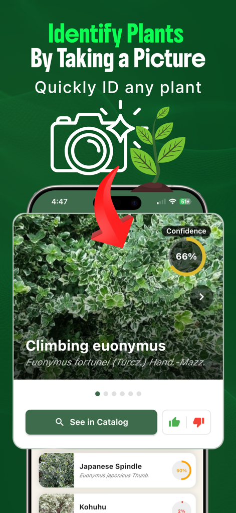 Pflanzenidentifikationsfunktion in der Landschaftsgestaltungs-App „KI-Garten“, die eine Kletter-Euonymus mit einer Konfidenzbewertung identifiziert.