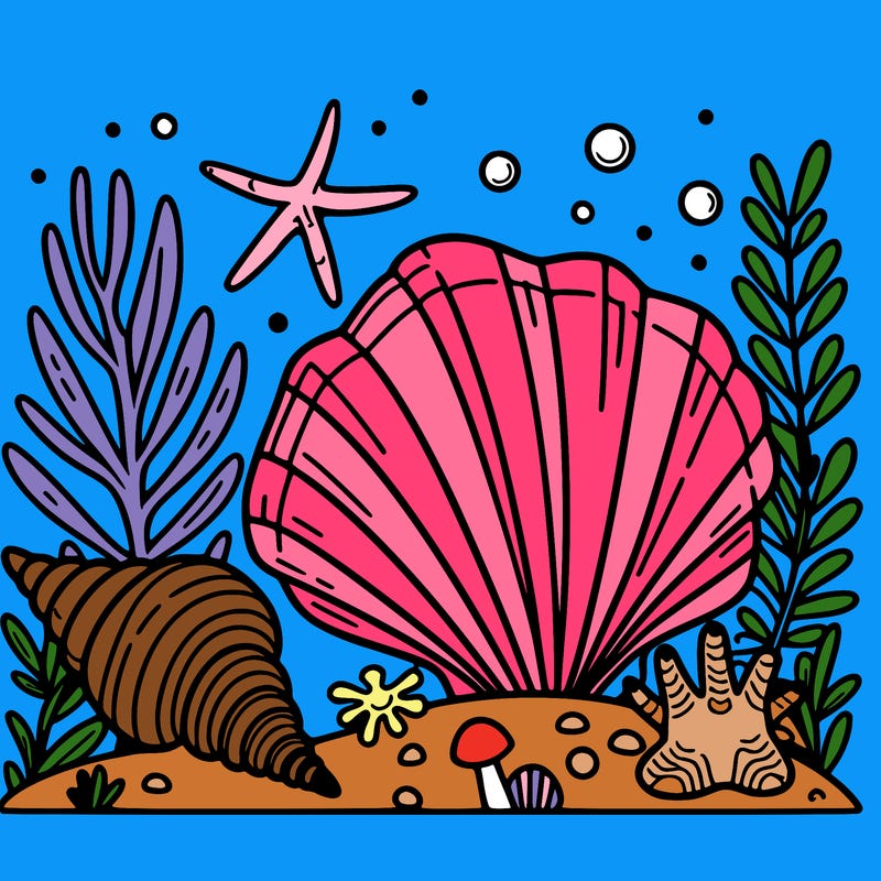 sea shell