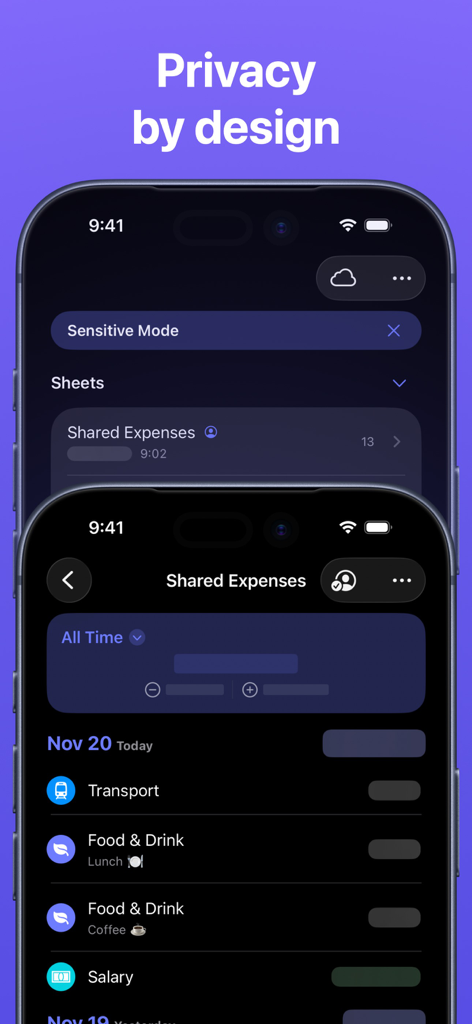 Expenses: Spending Tracker - Expenses app interface showing sensitive mode and private shared expense sheets in dark mode