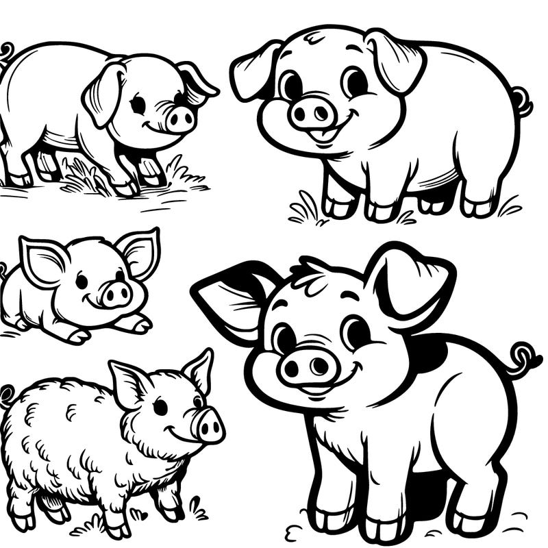 pigs