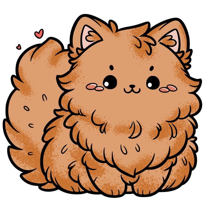 cute fluffy cat