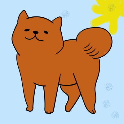 animals_29
