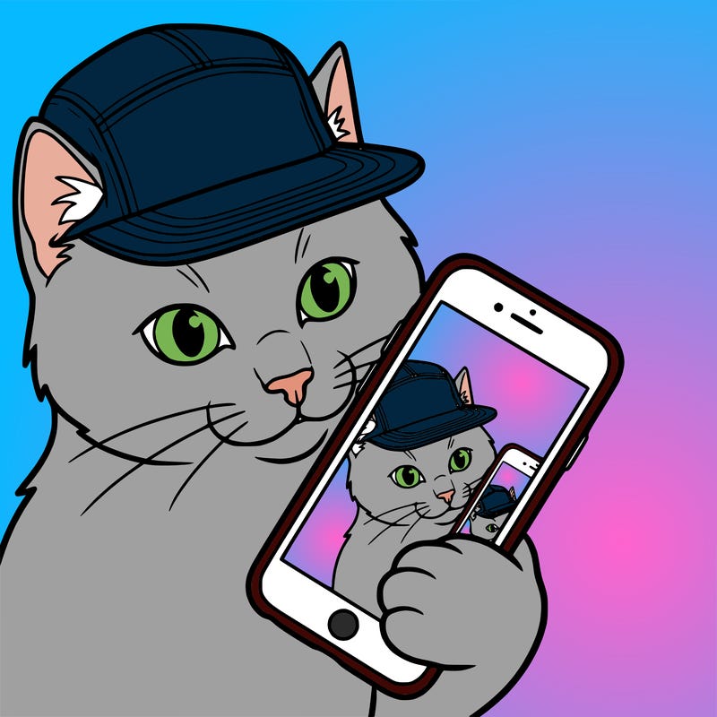 cat with 5 panel making a selfie