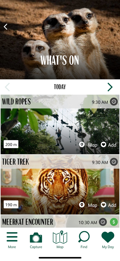 Taronga Zoo - Screenshot of the Taronga Zoo app What's On section showing daily activities like Tiger Trek and Meerkat Encounter