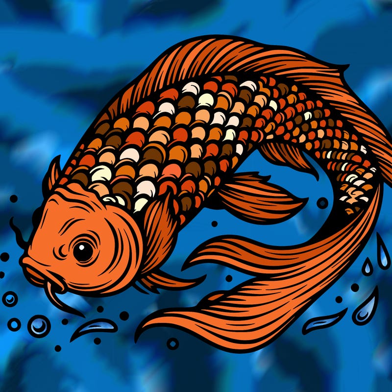 beautiful koi fish