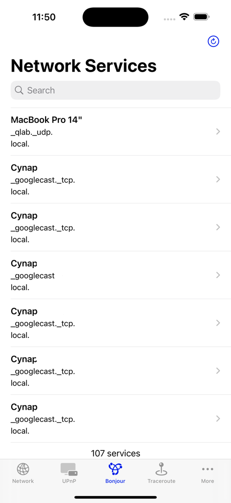 Eine Liste der entdeckten Bonjour-Netzwerkdienste, einschließlich MacBook Pro und Google Cast-Geräten in der NetTools Pro App