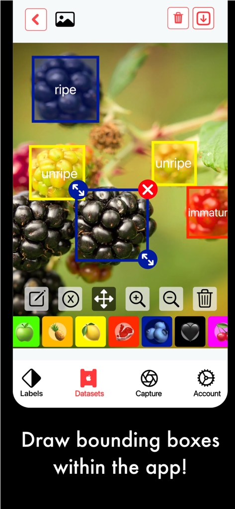 AI Capture: Create ML Datasets - Developer Tools App | MWM
