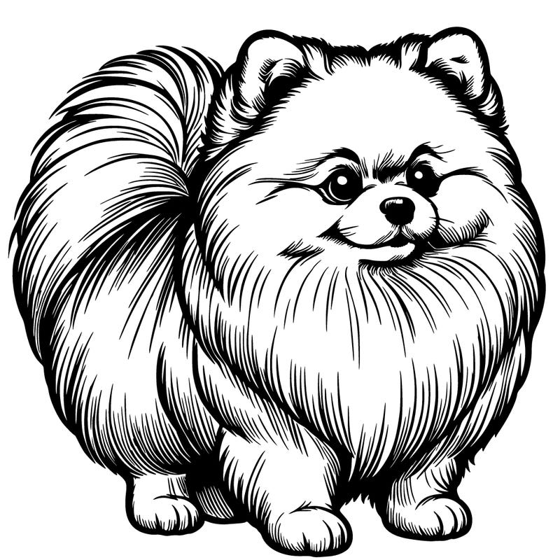 realistic pomeranian dog