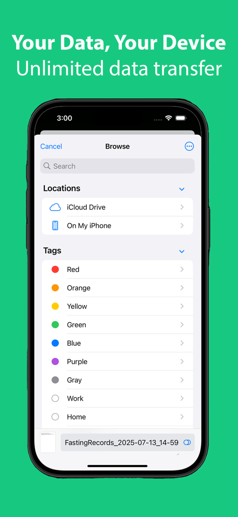 AllyFast - AllyFast app screen showing local data export and file management on an iPhone
