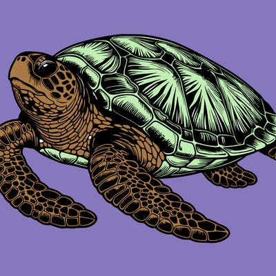 realistic sea turtle