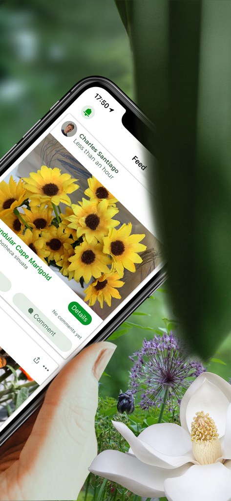 Smartphone zeigt den PlantSnap Pro Community-Feed mit geteilten Pflanzenidentifikationen an