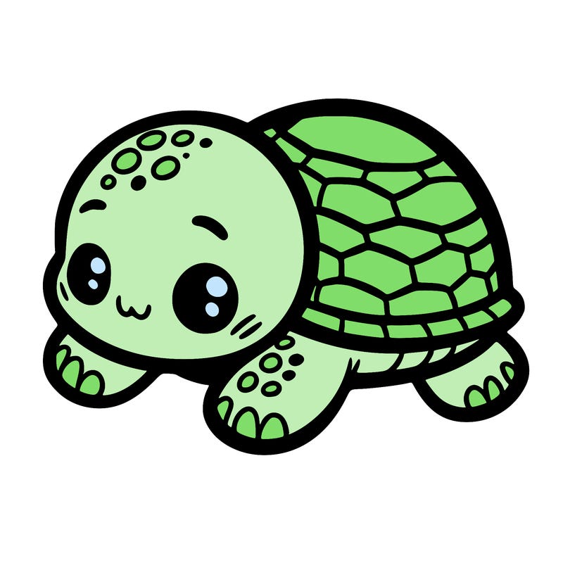 baby turtle