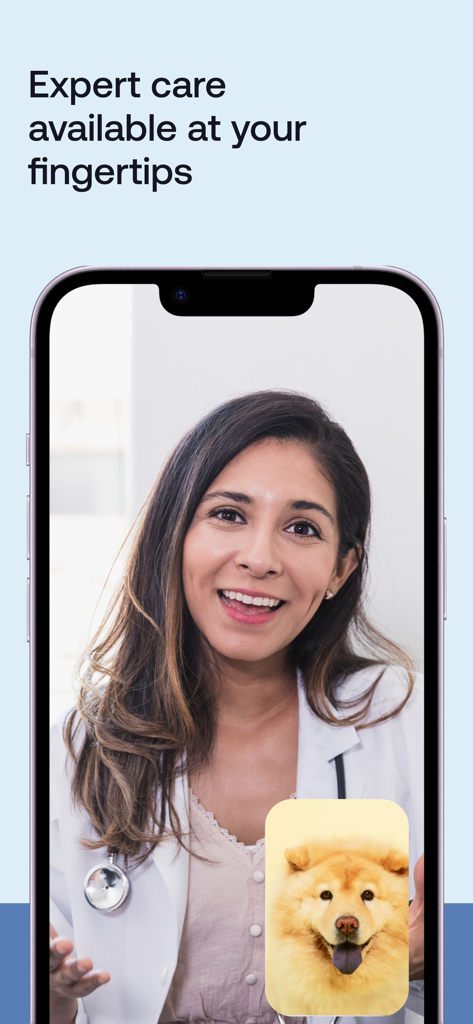 Un appel vidéo avec un vétérinaire sur l'application Pawp, mettant en vedette un médecin et un chien.