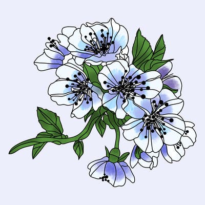 flowers_03