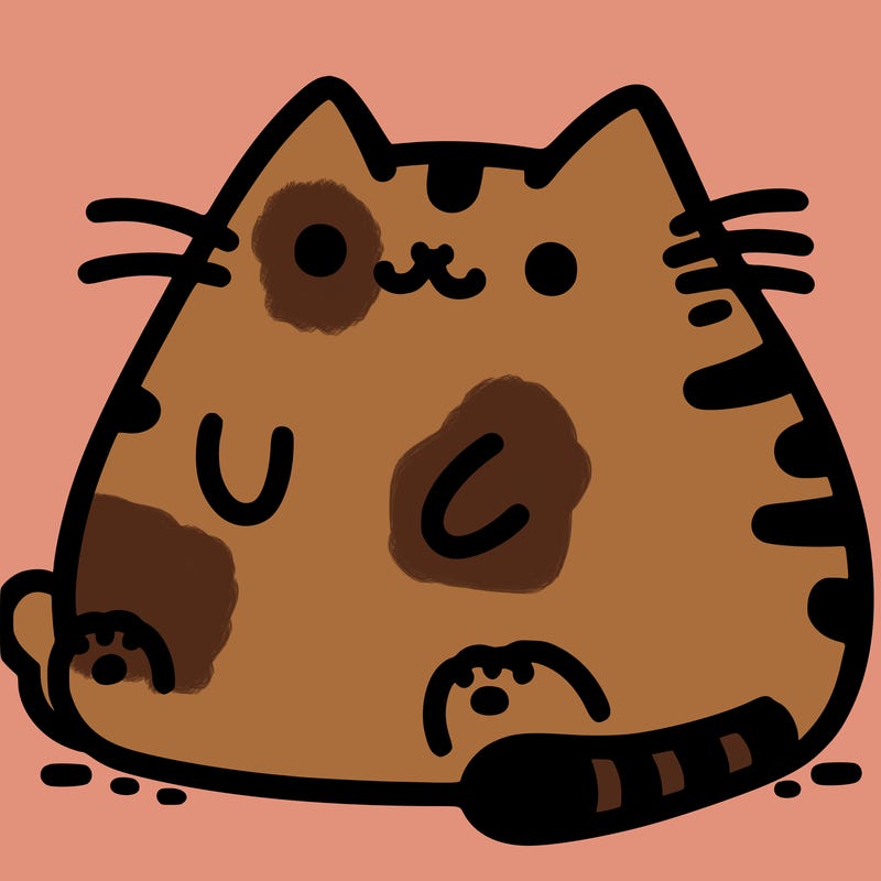 pusheen cat