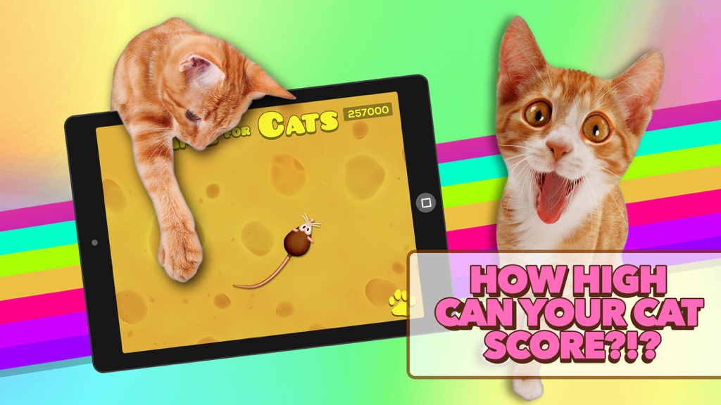 A ginger cat pawing at a digital mouse on an iPad screen with the text How high can your cat score.