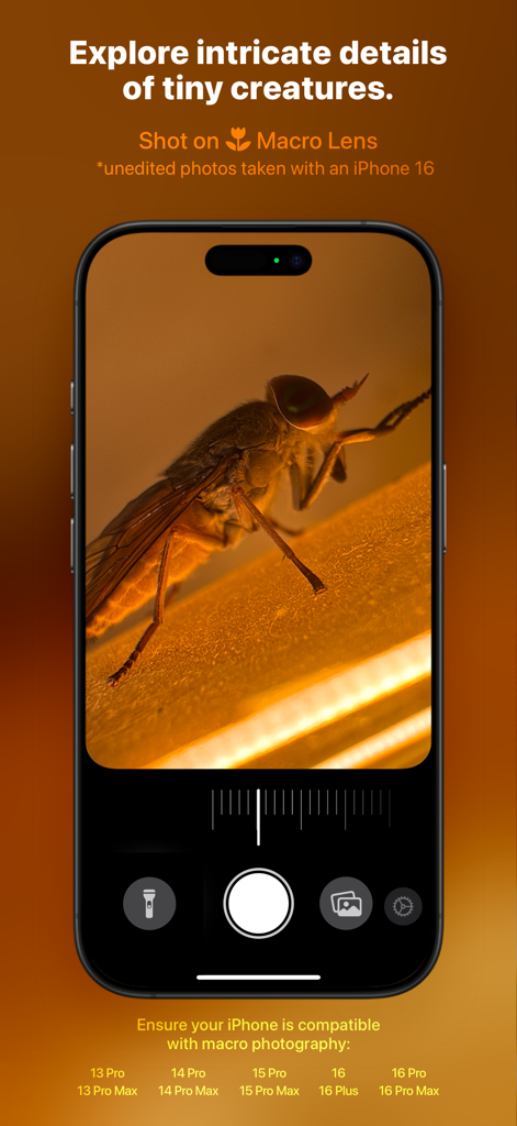 Macro Lens - L'application Macro Lens montrant une photo macro détaillée d'un insecte sur un écran d'iPhone