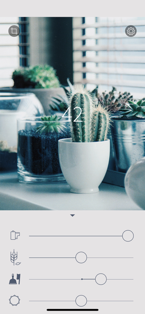 A screenshot of the RNI Flashback app showing manual sliders for film simulation on a vintage photo of cacti