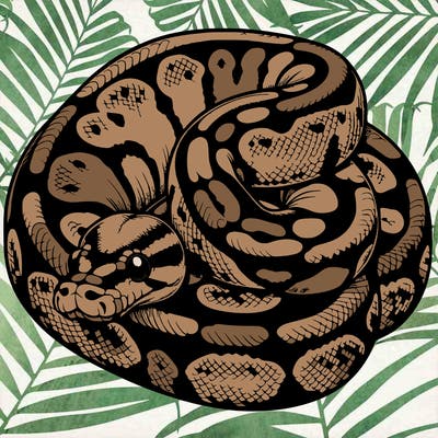 realistic ball python