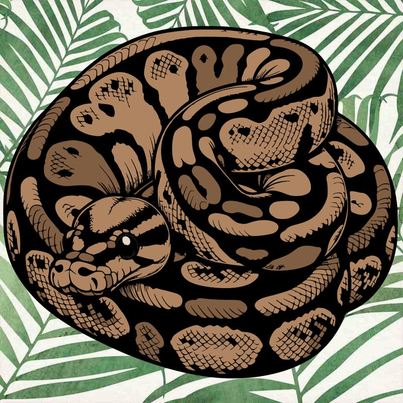 realistic ball python