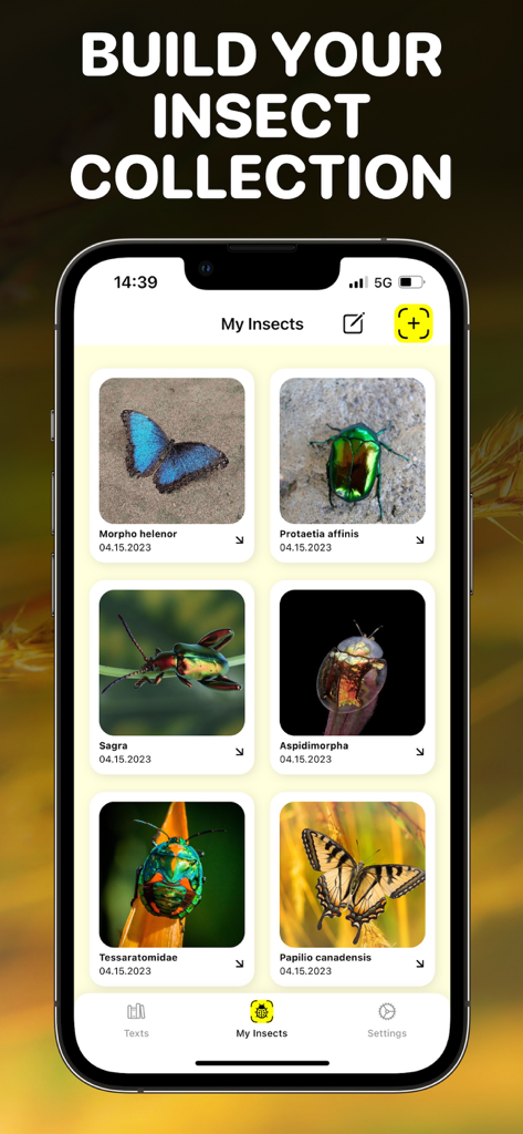 Bug Identifier App - Insect ID - 벌레 식별 앱에서 나비와 딱정벌레 사진이 포함된 디지털 곤충 컬렉션을 보여주는 스마트폰 화면.