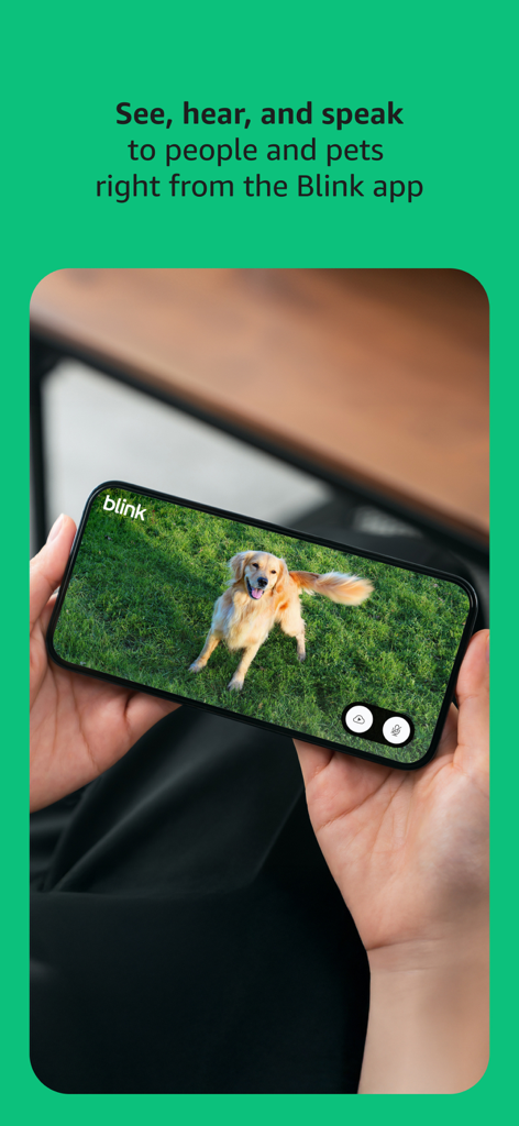 Une personne tenant un smartphone montrant un flux vidéo en direct d'un chien sur l'application Blink Home Monitor