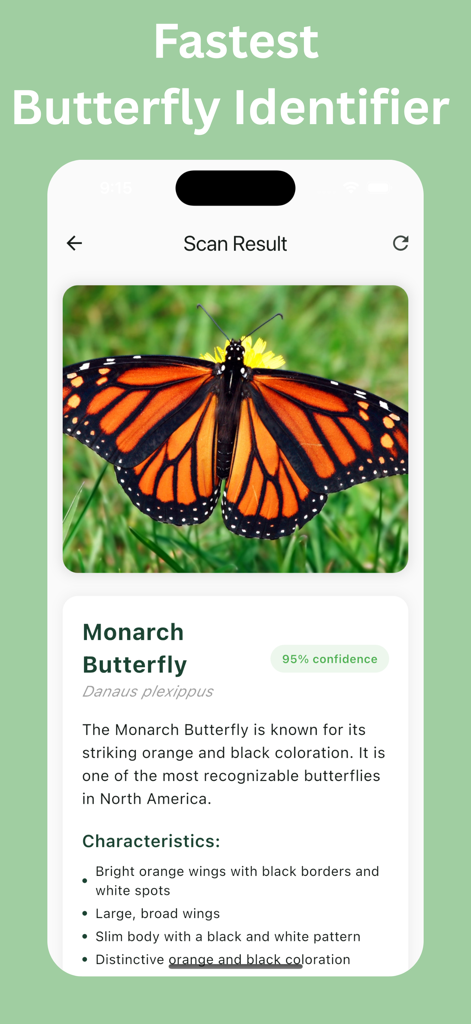 Butterfly Identifier: Photo ID - Butterfly Identifier app displaying a scan result for a Monarch Butterfly with detailed species information