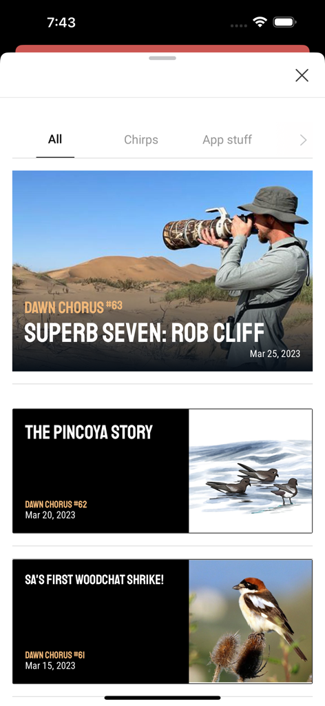 Firefinch - A feed of birding articles and news stories within the Firefinch app interface