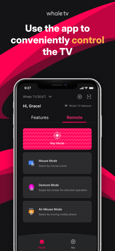 Whale TV app - Whale TV app interface for remote control featuring mouse and gesture modes on an iPhone screen
