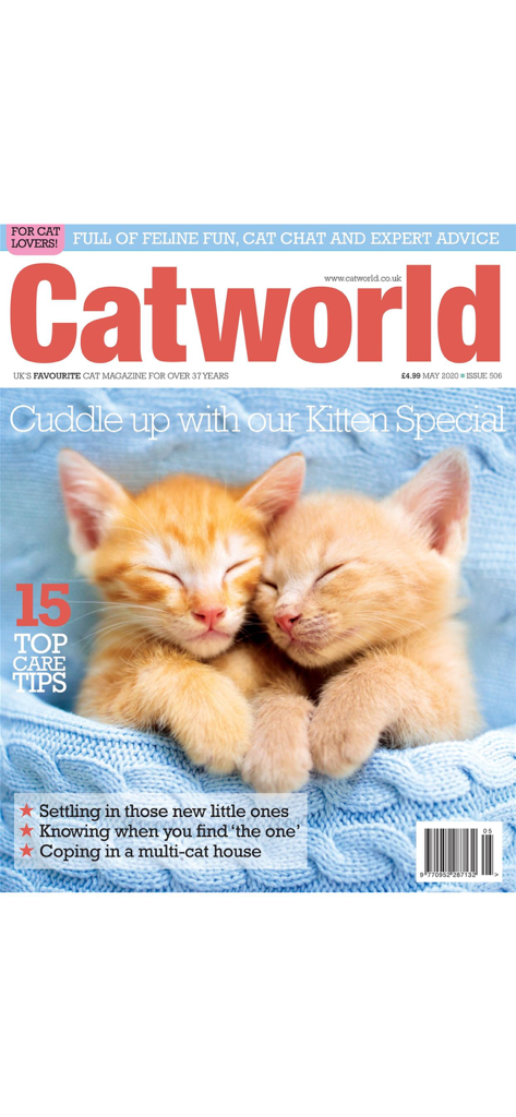Catworld Magazine - Portada de la revista Catworld con dos gatitos jengibre durmiendo sobre una manta azul