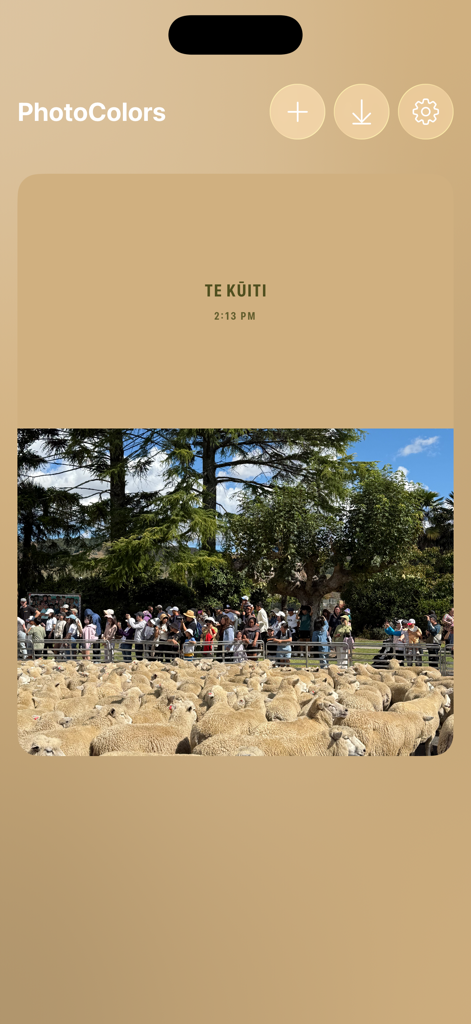 PhotoColors - Una captura de pantalla de la aplicación PhotoColors que muestra una foto de ovejas con detalles de ubicación y hora