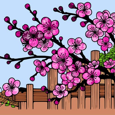 japan cherry blossom