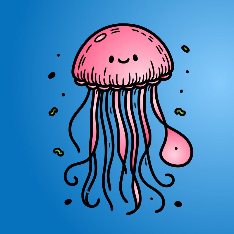 jellyfish