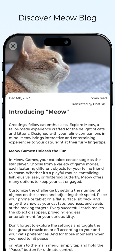 Games for Cats Cat Toy – Meow - A blog article within the Meow app titled Introducing Meow featuring a photo of a ginger cat and tips for playing games with cats.