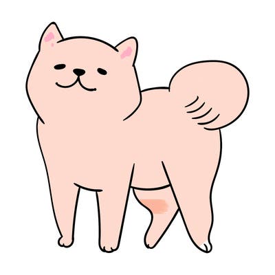 animals_29