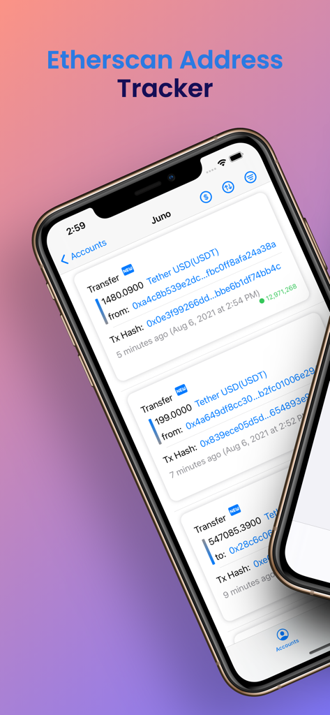 Ethereum Wallet Tracker - A mobile interface of the Ethereum Wallet Tracker app displaying a list of recent Tether USD transactions with wallet addresses and transaction hashes