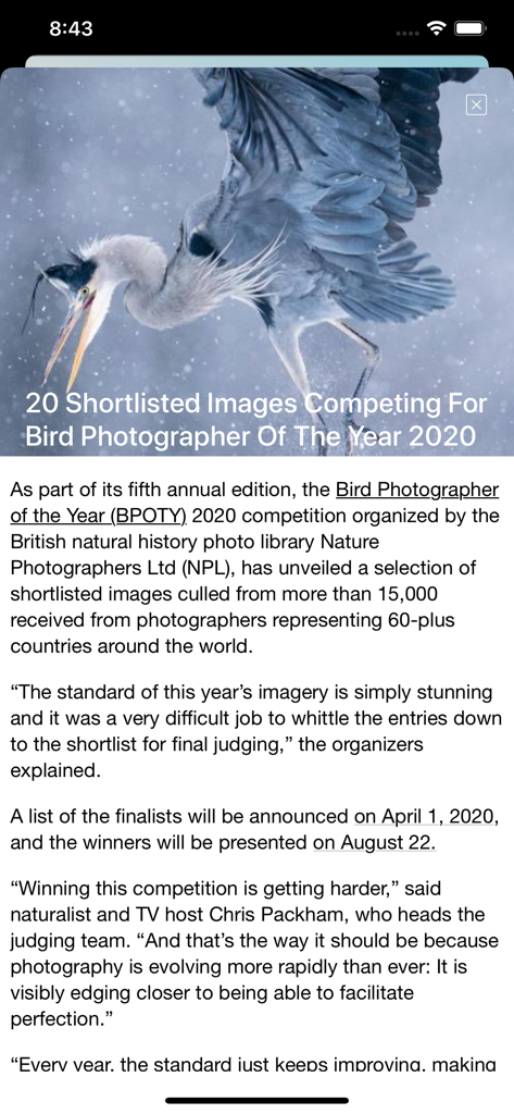 Bird Song/Photo Identification - Um artigo no aplicativo sobre a competição Fotógrafo de Pássaros do Ano de 2020, apresentando uma imagem de garça.