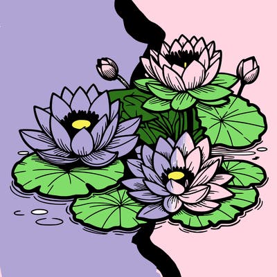 lotus flowers with leaf in a pond in japan