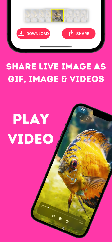 Live Photo Converter * - App interface showing options to share live photos as GIFs and videos with a video player display