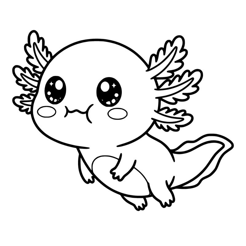 a kawia axolotl