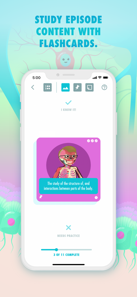 Anatomy study flashcard interface in the Crash Course app