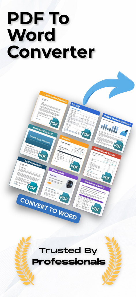PDF to Word: File Converter AI - PDF to Word converter app interface showing professional document conversion options