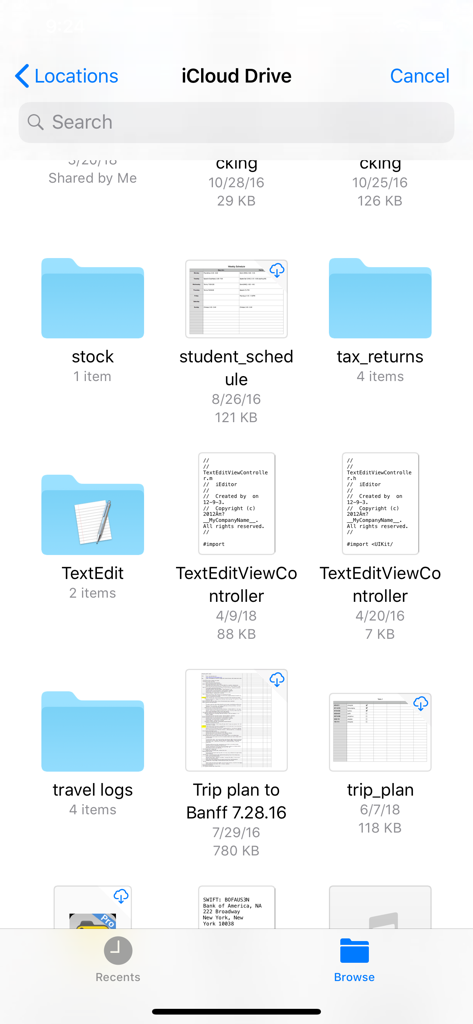 iEditor Pro – Text Code Editor - iEditor Pro app interface showing the iCloud Drive file browser with folders and code files