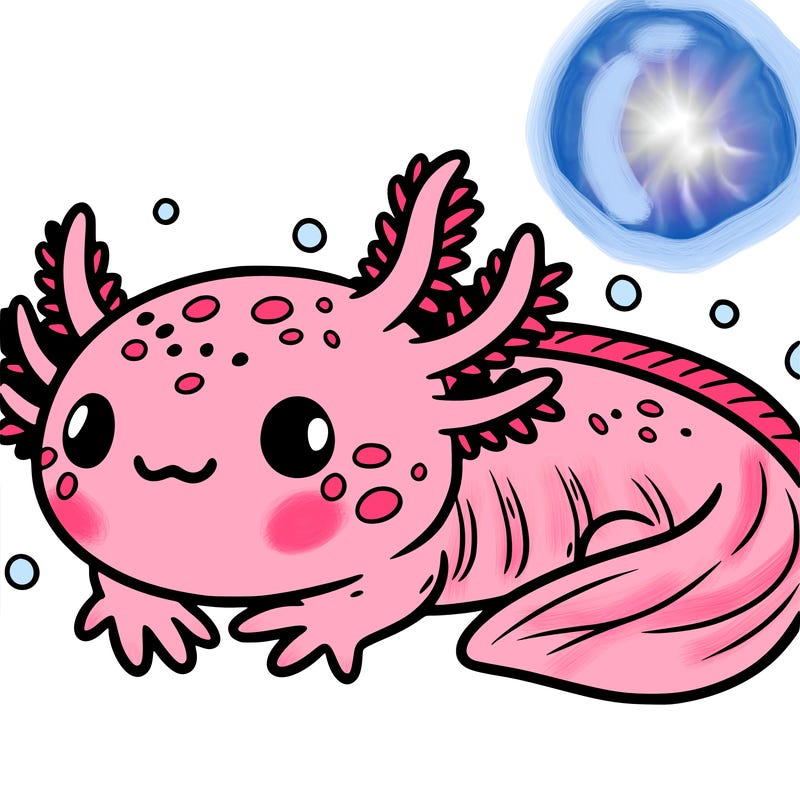 cute axolotl