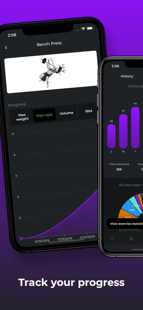 Exercise progress graphs and workout history statistics on the My Workout Plan app interface