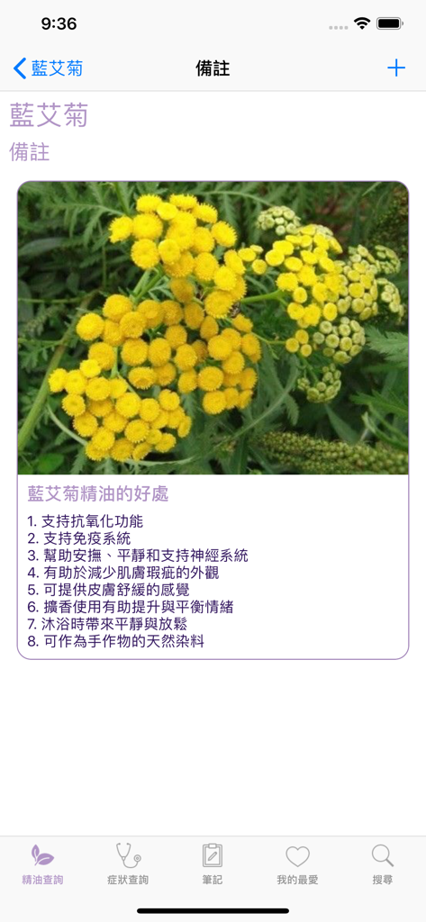A screen from the Aroma LOHAS app showing Blue Tansy essential oil benefits and a photo of the plant