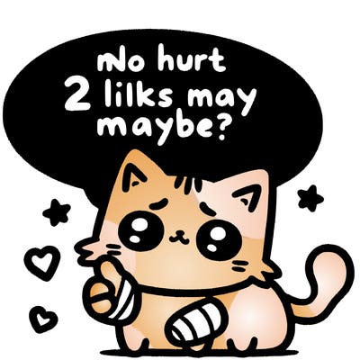 cute cat thats been hurt saiying 2 likes maybe