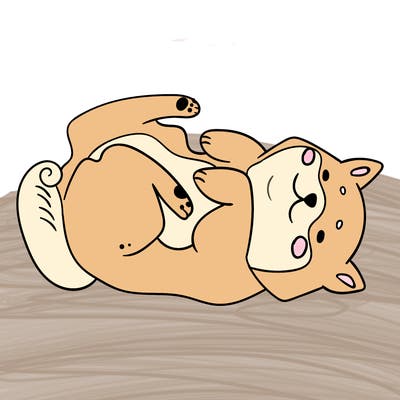 animals_30